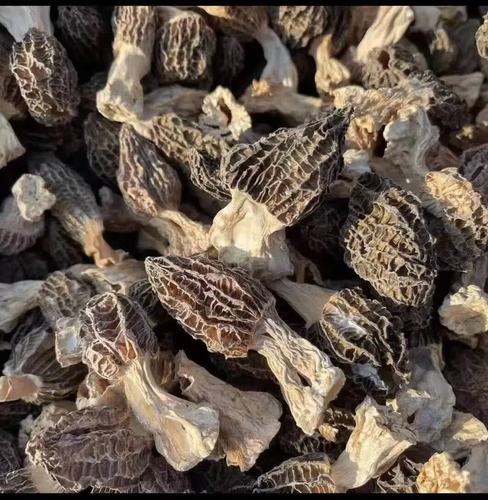 东北长白山特产菌中皇后羊肚菌优质食用农产品家用滋补拜友 250g